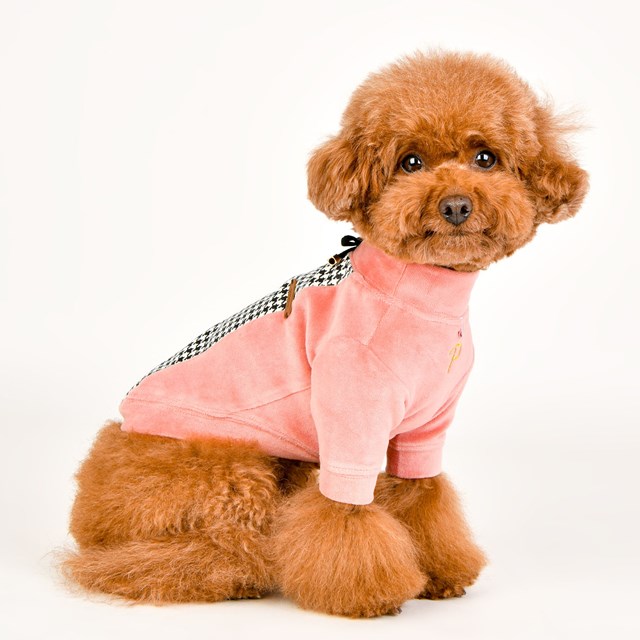 Amari Indian Pink - Hundegenser