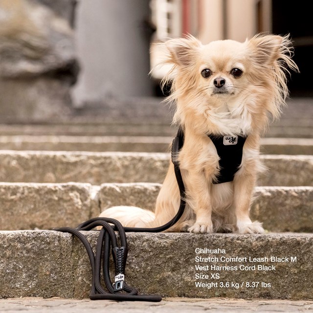 Curli Stretch Comfort Line Dog Leash - Black