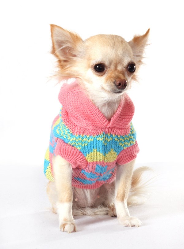 Alpine Hooded Sweater