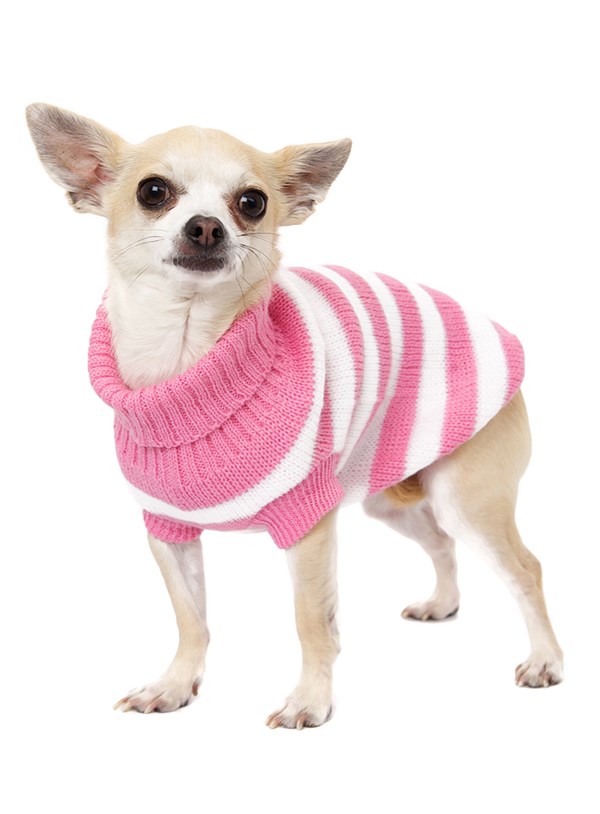 Pink Candy Stripe - Strikket Hundegenser