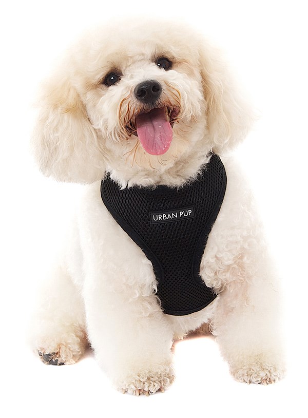 Jet Black Soft Mesh Hundesele