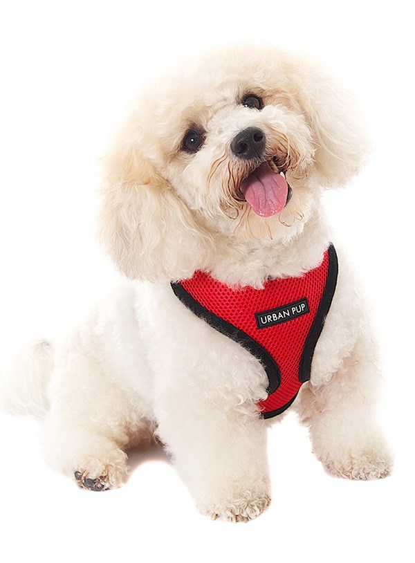 Cherry Red Soft Mesh Hundesele