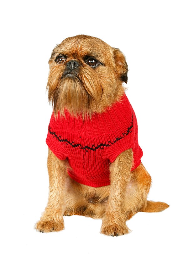 Rudolfs Röda - Strikket Hundegenser