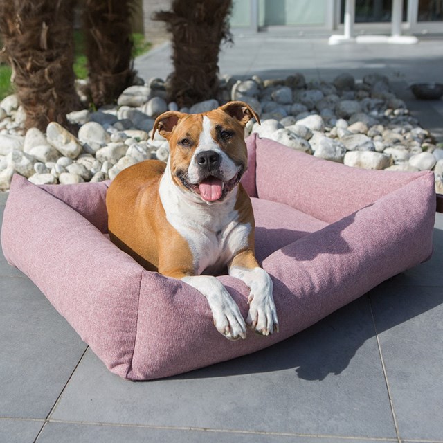 Fantail Snug Ortopedisk Hundeseng - Iconic Pink