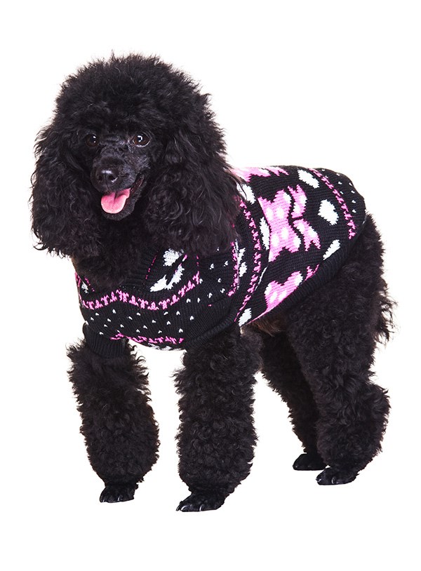 Wonderland Hooded Sweater - Strikket Hundegenser