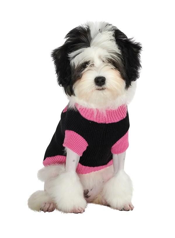 Black & Pink Mod - Strikket Hundegenser