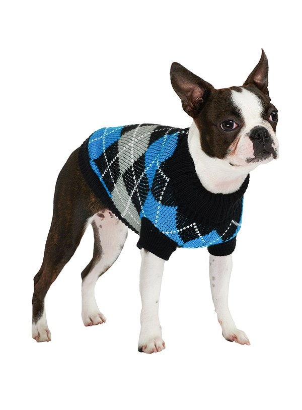 Black & Blue Argyle - Strikket Hundegenser