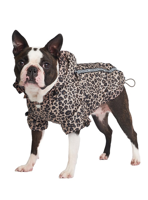 Leopard Print Rainstorm Regndekken