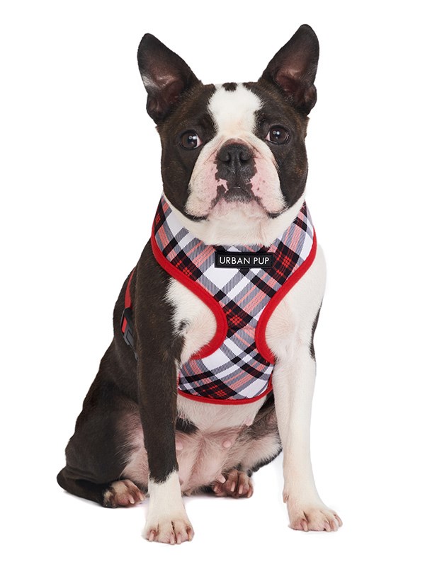 Red & White Plaid - Hundesele