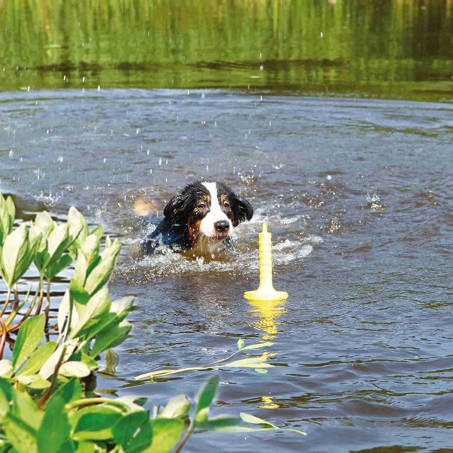 Dog Activity MOT Aqua Flytende Hundeleke Gul