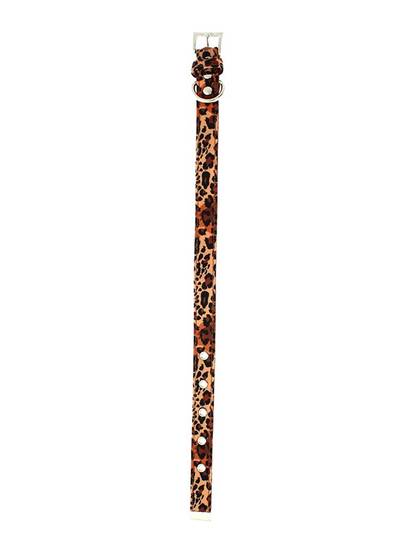 Cheetah Print dog collar