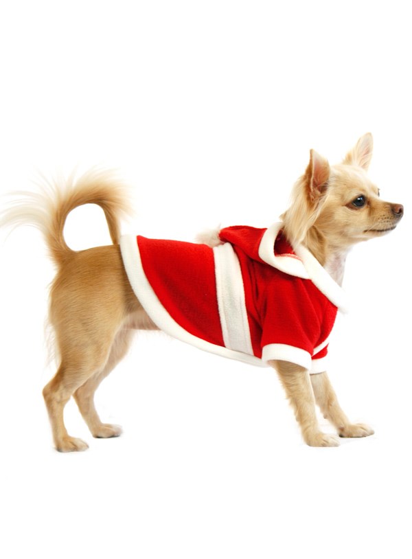 Santa's Christmas - Hundejakke