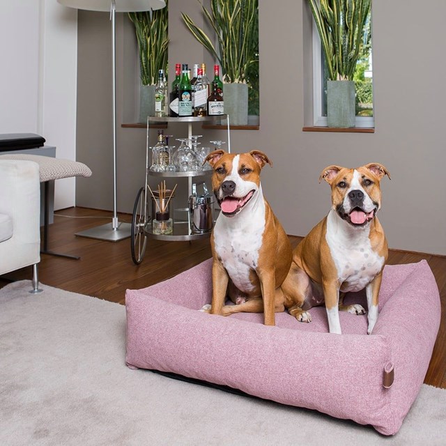 Fantail Snug Ortopedisk Hundeseng - Iconic Pink
