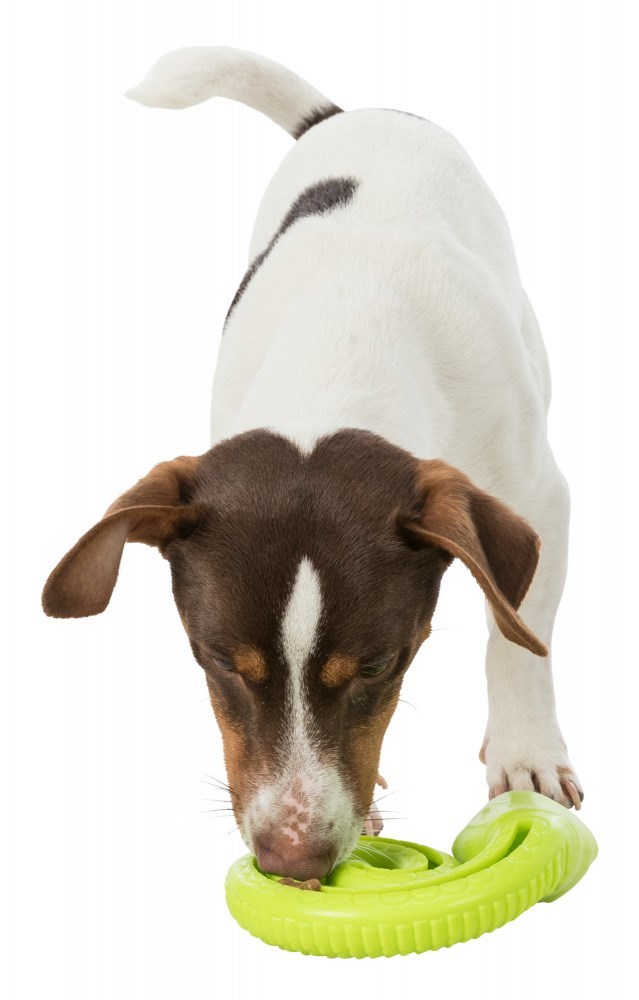 Dog toy, treat mix & lamb paté kit