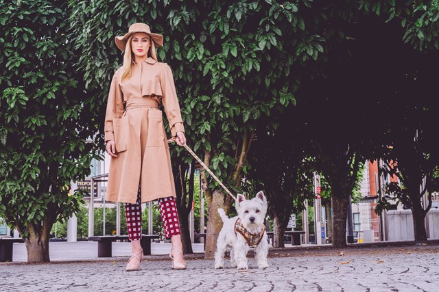 Luxury Fur Lined Brown Tartan - Hundesele