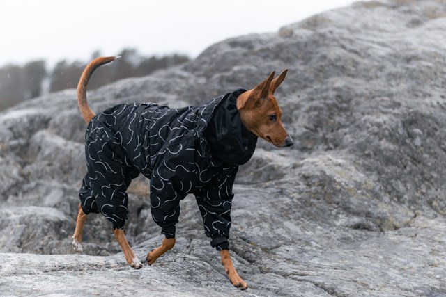 Paikka Winter Suit for Dogs - BLACK