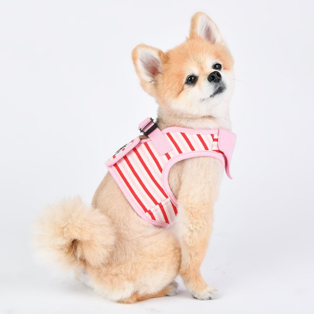 Seaman Pink - Jacket Hundesele