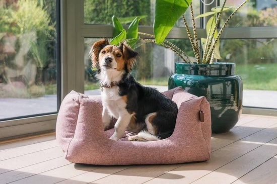 Fantail Snooze Ortopedisk Hundeseng - Iconic Pink