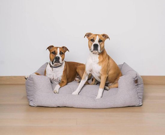 Luscious Eksklusiv guiden Fantail Snooze Ortopedisk Hundeseng - Nut Grey - Rask levering & 14 dagers  åpent kjøp | Doggie.no