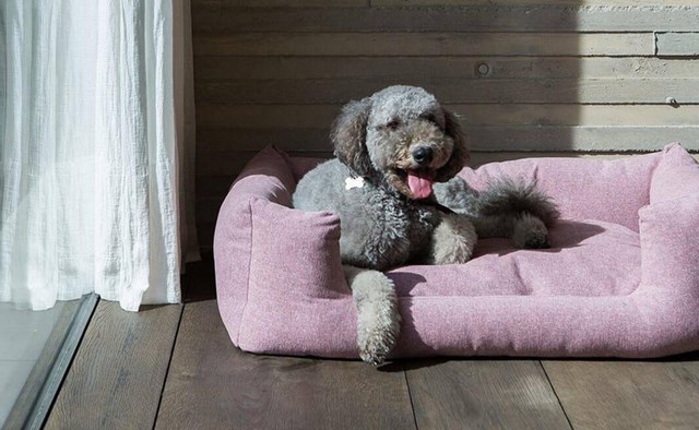 Fantail Snooze Ortopedisk Hundeseng - Iconic Pink