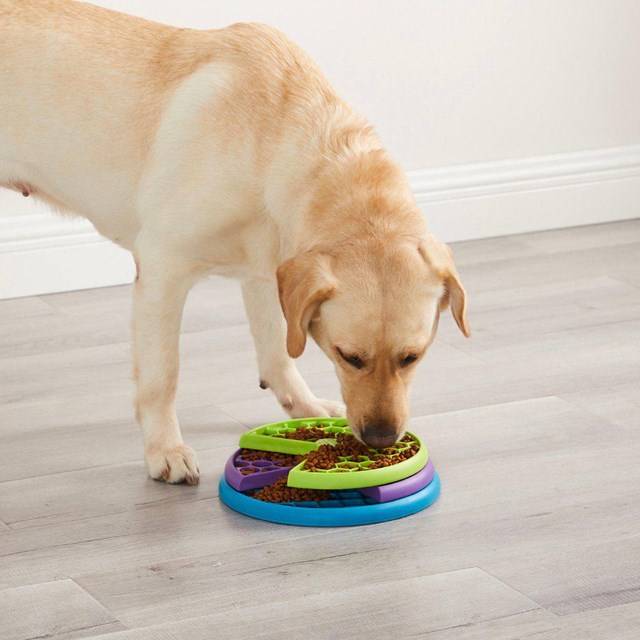 LICKIN' LAYERS - DOG PUZZLE & FEEDER IN ONE