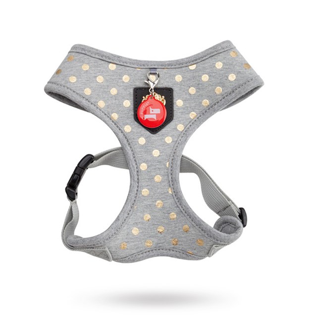 Modern Dotty Grey - Hundesele