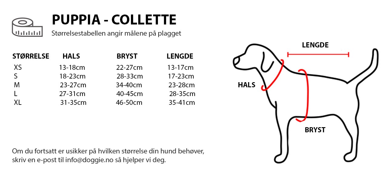 PUPPIA - COLLETTE NO.jpg