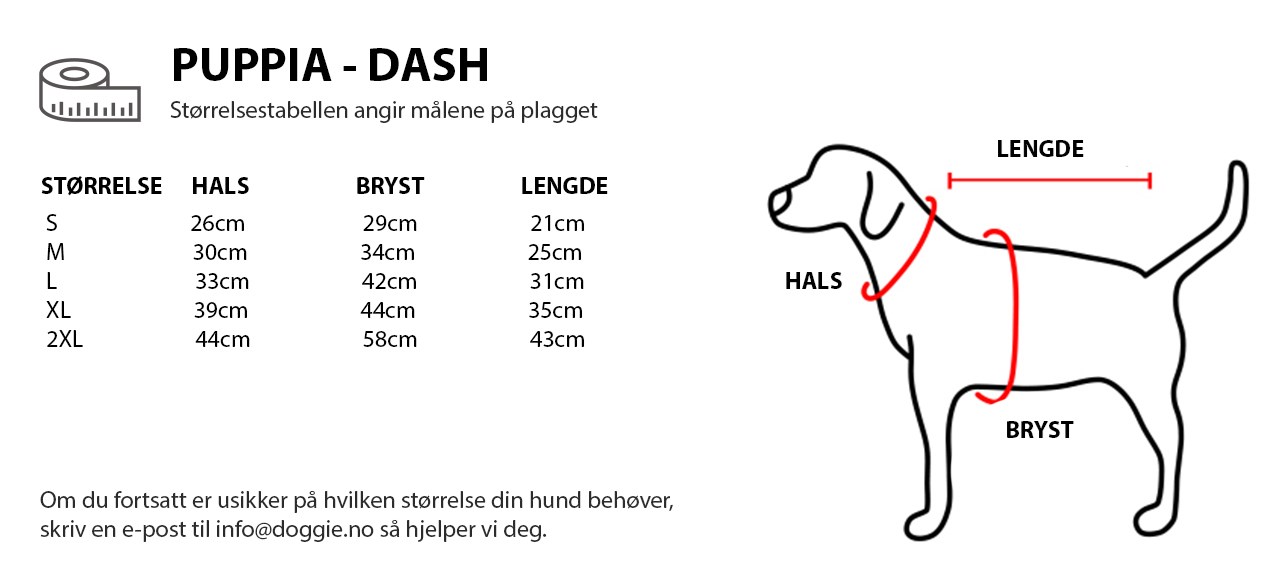 PUPPIA - DASH NO.jpg