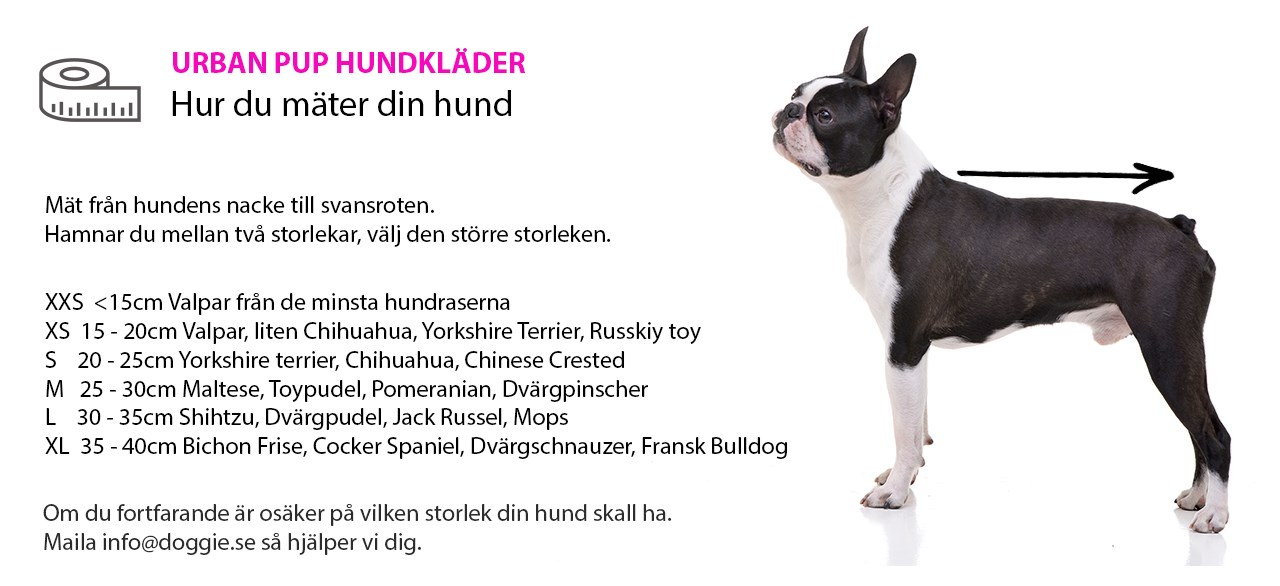 Urban Pup Sizing SE.jpg