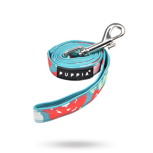 Alyssa Aqua - Hundekobbel