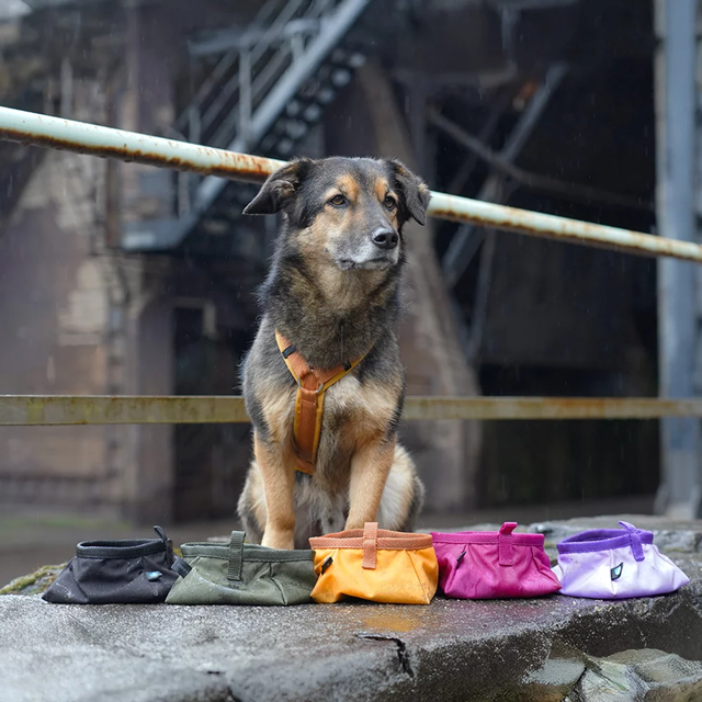 ANNY-X BOWL TO GO - ECHINACEA