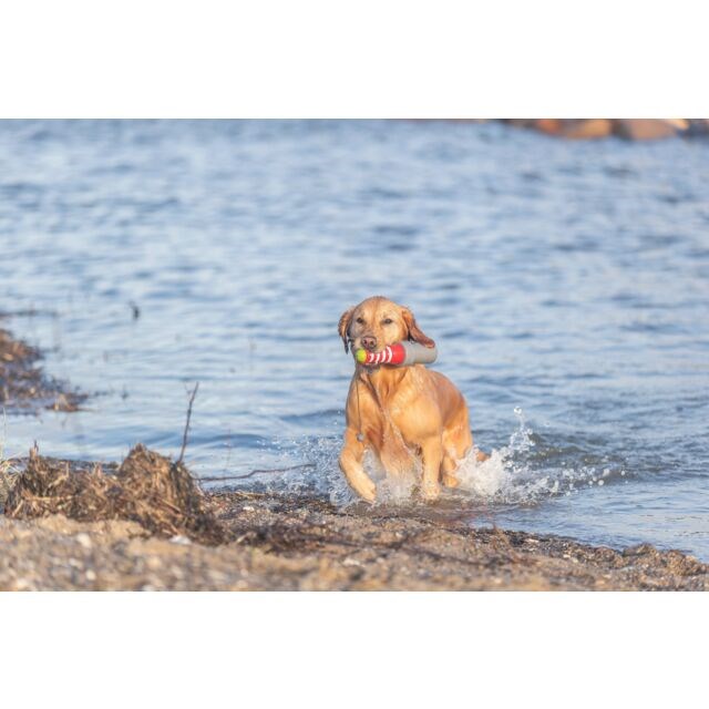 Aqua Toy fyrtårn på tau - Flytende hundeleke