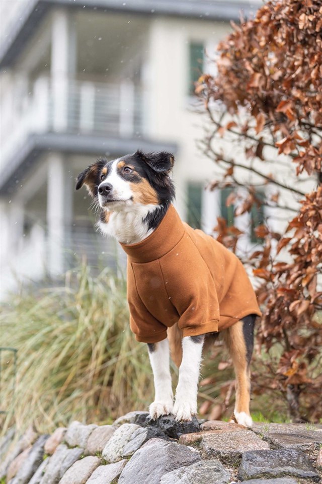 CityStyle Amsterdam Sweatshirt - Rust