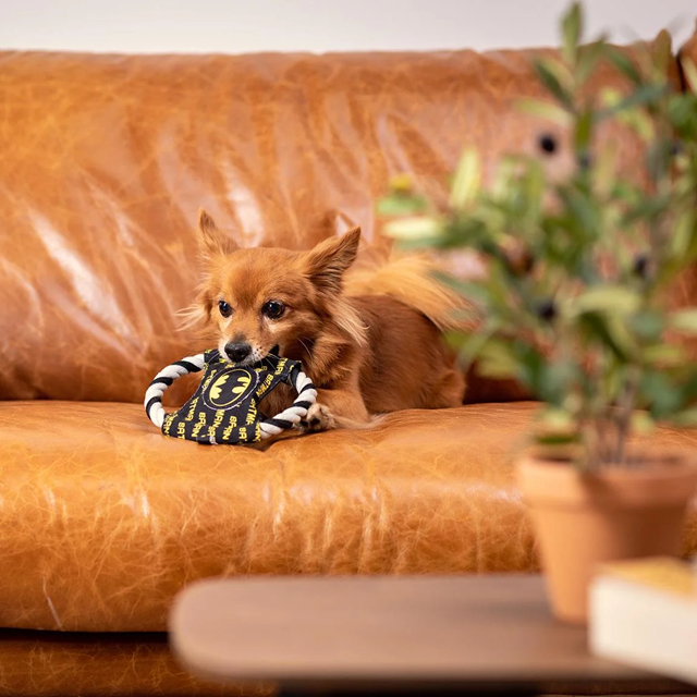 BATMAN - Hundeleke med tau