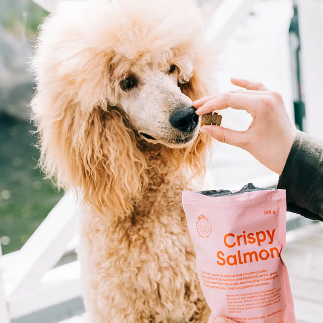 Buddy Crunchy Snacks Salmon & Blueberries 150g