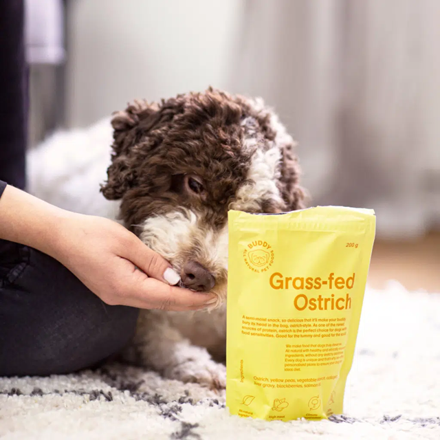 Buddy Semi-moist Snack Ostrich & Blackberries 200g