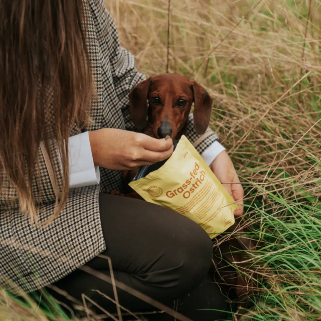 Buddy Semi-moist Snack Ostrich & Blackberries 200g