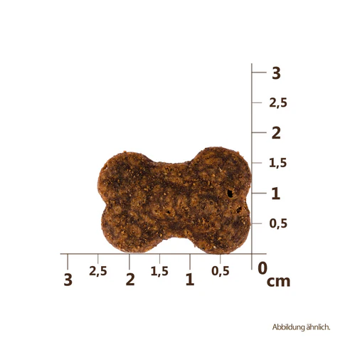 Carnilove Dog Crunchy Snack Ostrich Blackberries 200g