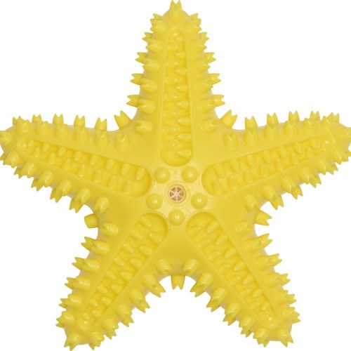 Companion Chewing Toy - Stjerne