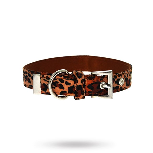 Cheetah Print dog collar