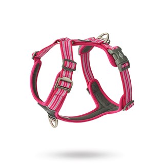 Comfort Walk Air 3.0 Harness Wild Rose