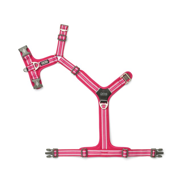 Comfort Walk Air 3.0 Harness Wild Rose