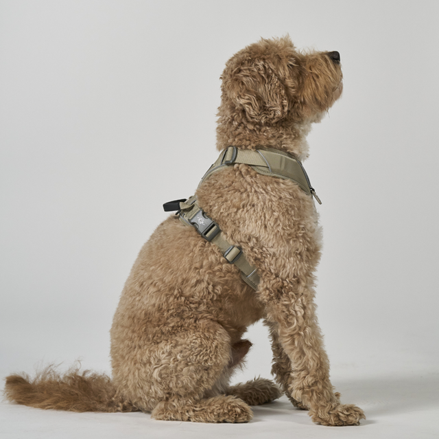 Comfort Walk Pro 3.0 - Desert Dune