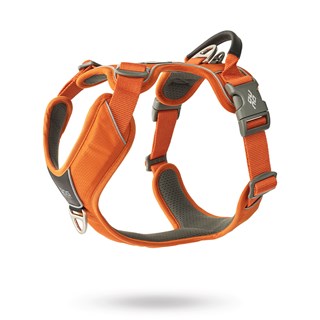 Comfort Walk Pro 3.0 Harness - Orange Sun