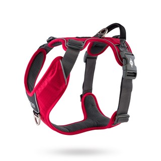 Comfort Walk Pro Harness New 2020 - Classic Red