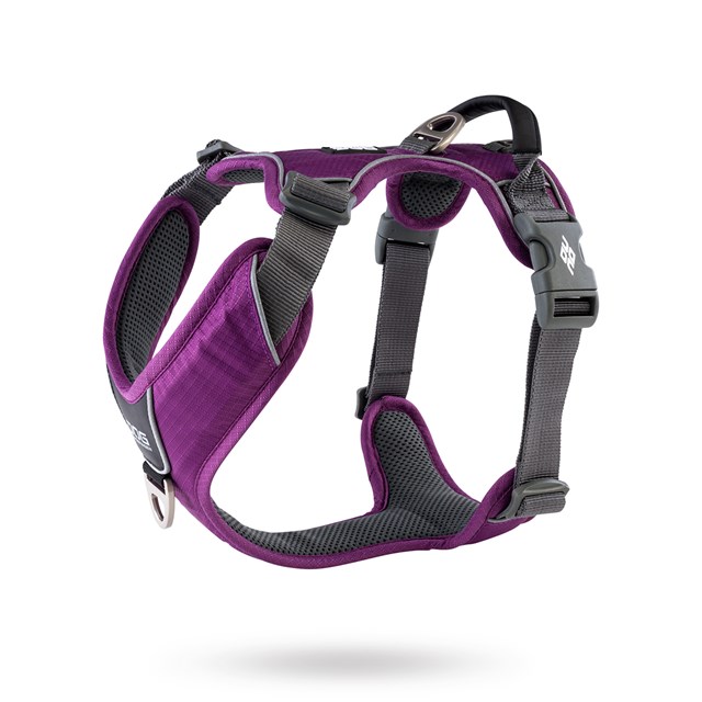 Comfort Walk Pro Harness New 2020 - Purple Passion