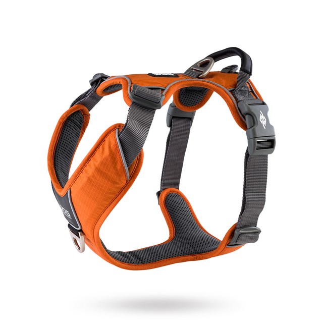 Comfort Walk Pro Harness New 2020 - Orange Sun