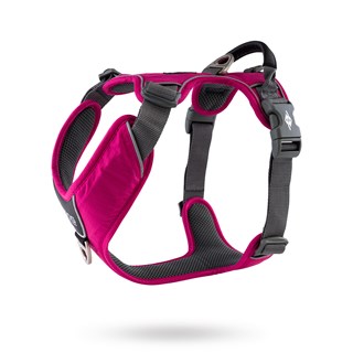 Comfort Walk Pro Harness New 2020 - Wild Rose