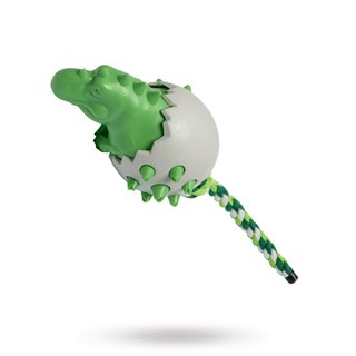 Companion Chewing Toy - Dinosauregg