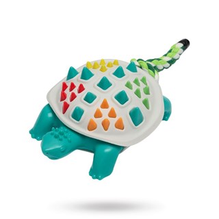 Companion Chewing Toy - Turtle
